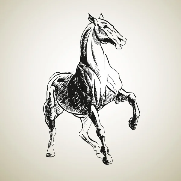 Patins de cavalo — Vetor de Stock