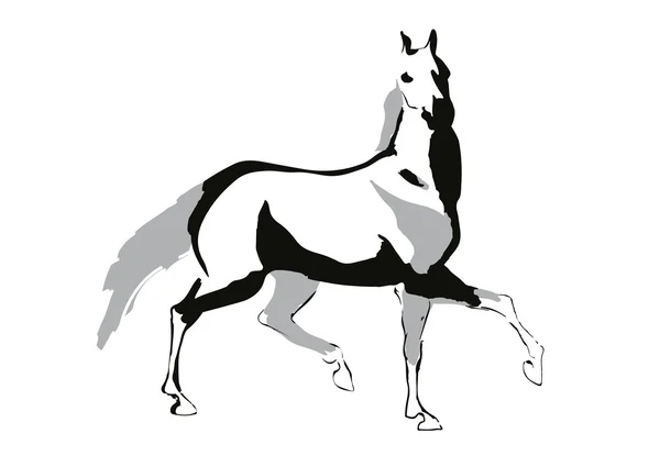 Ilustracja wektorowa konia — Wektor stockowy
