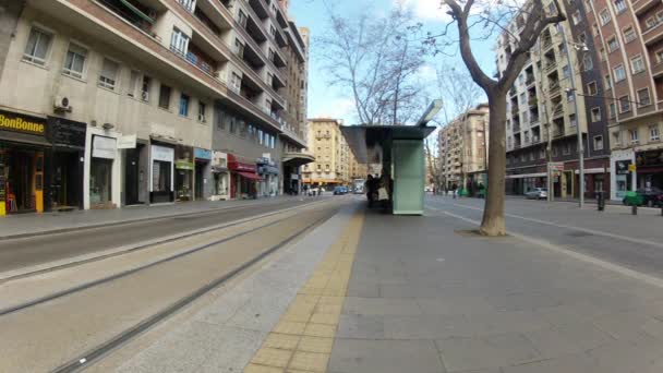 Трамвай приближается к широкой аллее — стоковое видео