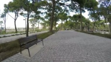 Güneşli bir günde boş banklar ile parkta yalnız yürümek
