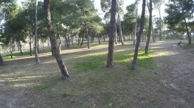 Güneşli bir günde ağaçlar ile park çevresinde dairesel hareket