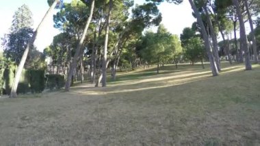 Güneşli bir parkın içinden hareket ağaçlara sararmış ot çok düşüktür