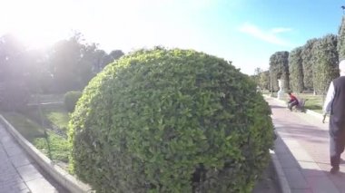 Çiçek desenli çalılar parça ve yayalar güneşli bir parkta
