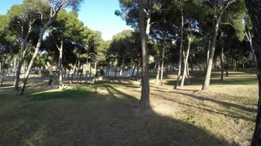 Ağaçlar, yol ve gölge güneşli bir şehir parkı genel bakış