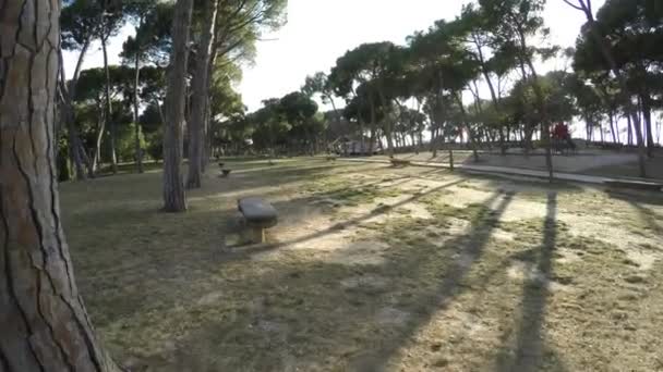 Movimento ao longo da fileira de árvores e bancos no parque em um dia ensolarado — Vídeo de Stock