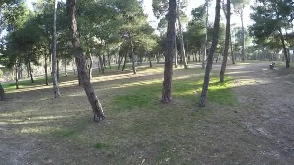 Kreisbewegung im Park mit Bäumen an einem sonnigen Tag — Stockvideo