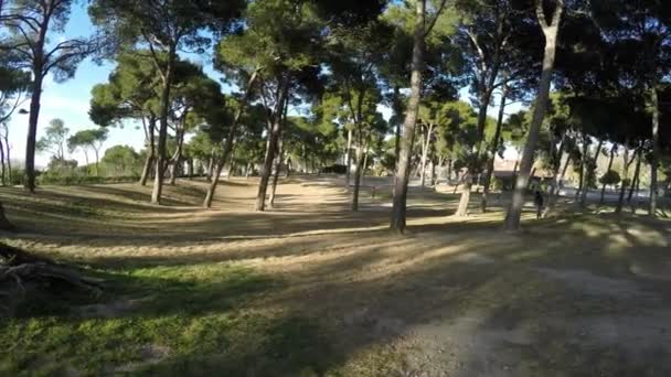 Überblick über den Park mit Bäumen und Schatten bei Sonnenuntergang — Stockvideo