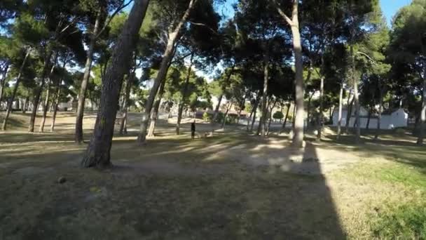Αναθεώρηση κατάφυτο πάρκο σε μια ηλιόλουστη ημέρα στο ηλιοβασίλεμα — Αρχείο Βίντεο