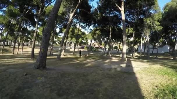 Évaluer parc boisé par une journée ensoleillée au coucher du soleil 