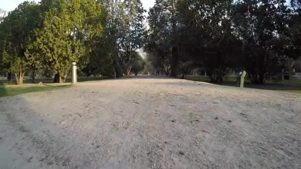 Einsamer Spaziergang auf dem Schotterweg im Park am Baum entlang — Stockvideo