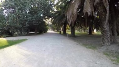 Çakıl farklı ağaç türleri ile yol boyunca parkta yalnız yürümek