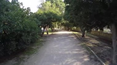 Güneşli bir günde ağaçlarıyla çevrili Park, ıssız bir yolda hareket