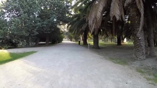 Promenade solitaire dans le parc le long du chemin de gravier avec différents types d'arbres 