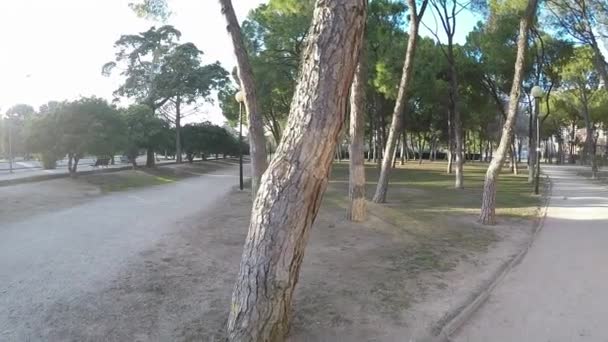 Mouvement le long du chemin de gravier dans le parc par une journée ensoleillée avec des rayons de soleil 