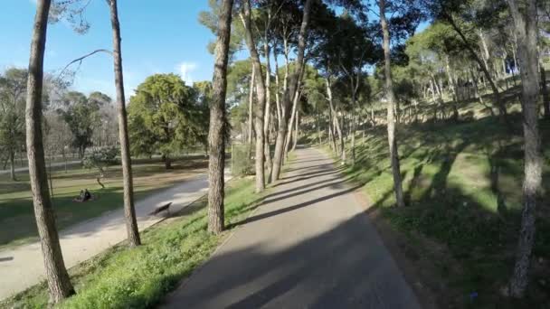 Movimento lento de caminhada ao longo do caminho do asfalto no parque em um dia ensolarado — Vídeo de Stock