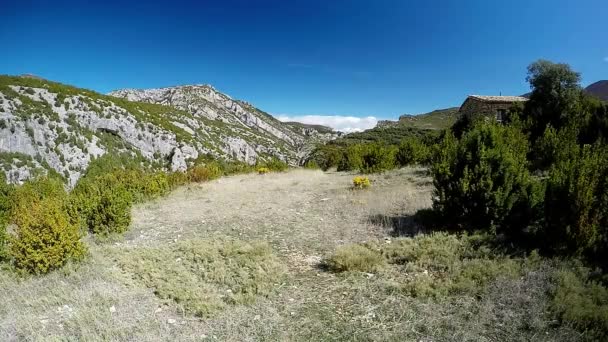 Młoda kobieta działa na szlaku górskim w alpejska łąka — Wideo stockowe