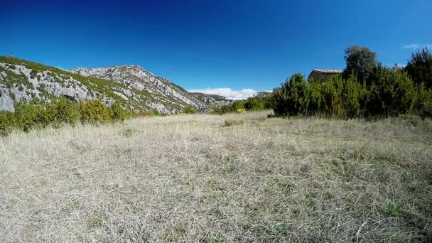 Ung man kör bort på skogsstig i alpängarnas — Stockvideo