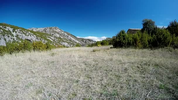 Joven pareja corriendo por sendero de montaña en el prado alpino — Vídeos de Stock