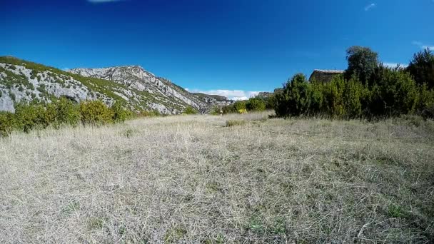 Jonge vrouw weg te rennen op hoogteweg in alpenweide met bergtoppen op de achtergrond — Stockvideo