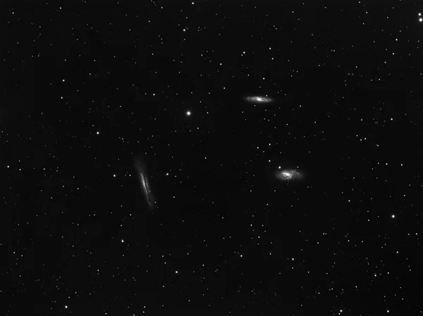 Leo Triplet real photo — Stock Photo, Image