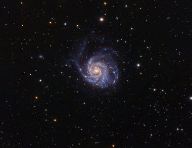 M101 Pinwhell Galaxy gerçek fotoğraf