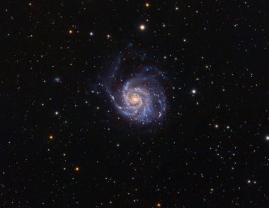 M101 Pinwhell Galaxy Real Photo clipart
