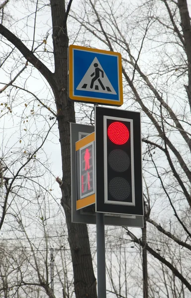Modern LED traffic light glows red and the pedestrian crossing sign — Stock Photo, Image