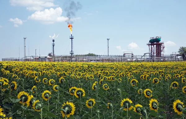 Indústria do petróleo — Fotografia de Stock