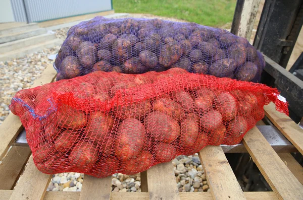 patates çanta