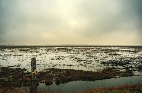 Zonder opmaak — Stockfoto