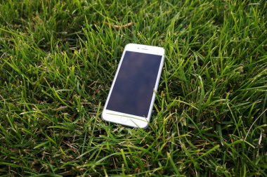 Bulanık çim ve mavi gökyüzü