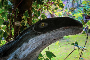 Dinozorlar formado de una madera como atractivo