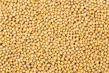 Kurutulmuş soya arkaplanını kapat