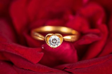 Yakın plan Elmas mücevher alyans kırmızı gül