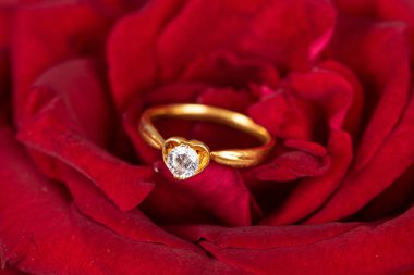 Yakın plan Elmas mücevher alyans kırmızı gül