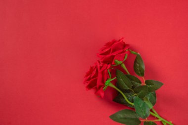 Kırmızı arka planda bir buket gül ve kopya alanı