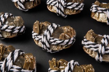 Çiğ Çin eldiveni yengeci, Şangay kıllı yengeç, siyah arka planda izole edilmiş..