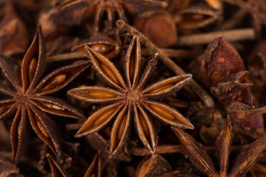 Anason yıldız tohumları, aromatik Asya baharatları aşçılık malzemeleri, yıldız anason arka plan.