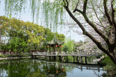Shanghai, Çin 'de klasik bahçe manzarası