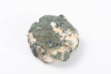 Küflü ve küflü buğday ekmeği beyaz arka planda izole edilmiş