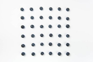 Beyaz arkaplana simetrik olarak yerleştirilmiş organik yaban mersinleri