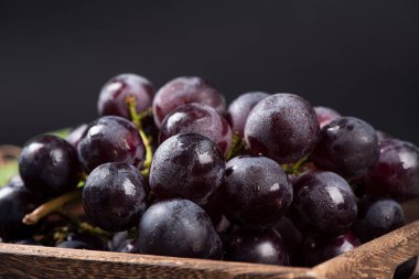 Bir demet mor üzümü kapat.