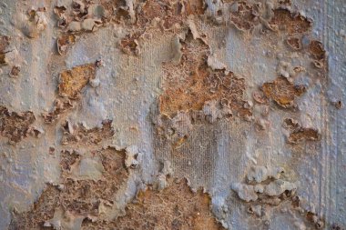  Paslı metal duvar arkaplanı ve pas izleri. Pas lekeleri. Pas dokusu.