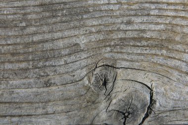 Gri ahşap doku. Arka plan koyu eski ahşap paneller.