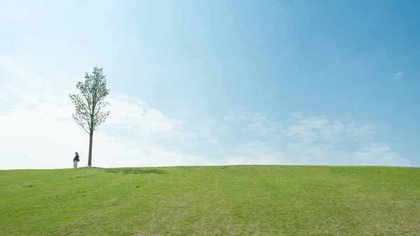 Einzelner Baum Und Ein Mädchen Feld Und Blauer Himmel — Stockfoto