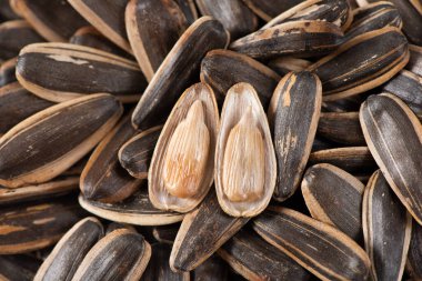 Arka plan kullanımı için kızartılmış organik ayçiçeği tohumları