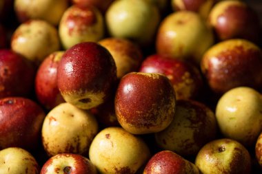 Ahşap arka planda taze Çin jubaları