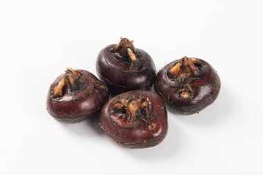 Su Kestanesi beyaz arkaplanda izole