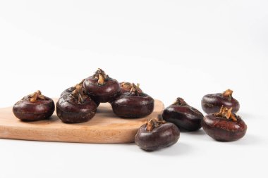 Su Kestanesi beyaz arkaplanda izole