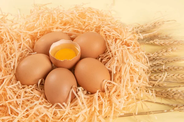 raw chicken eggs with broken egg in nest